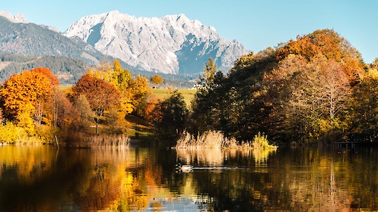 Herbst in Saalfelden