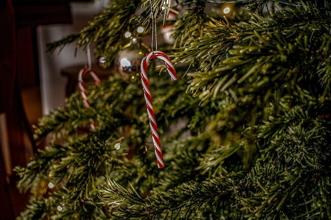 Weihnachtsbaum Nahaufnahme