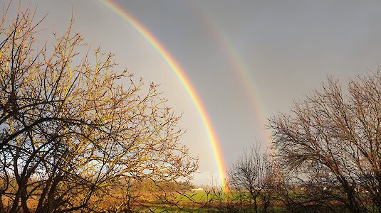 Regenbogen