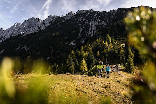 Brentenjoch: Hochegg Weinbergerhaus